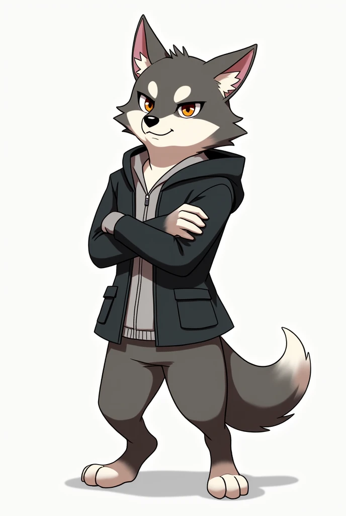 Animated wolf standing, crossing hand, pose tilted  30 degree to the side, anime style, wearing pocket ful jacket