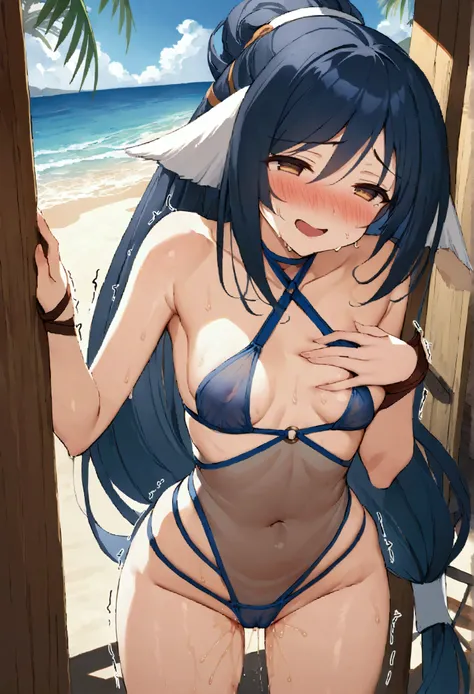 NSFW,masterpiece,Highest quality,High resolution,Very detailed,kuon (Utawarerumono),Long Hair,低く結んだLong Hair,Small breasts,(High-quality sexy bikini in white and blue),Halter neck,mesh,See-through,Sad face,(Bitter smile),(Ecstasy face),(Lustful face),blush...