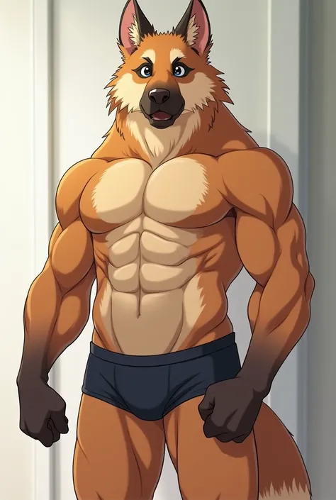 Create a muscular furry that is a full German shepherd and has large pectorals and is scantily clad, that he is only wearing very short boxers and his package is noticeable, with adolescent features and furry anthropomorphic and high anime style.not so mus...