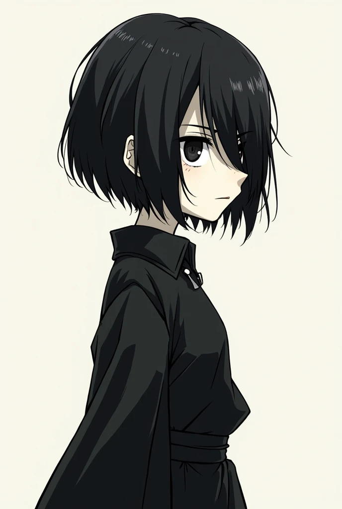 Style manga
22 years
Short hair with a long skirt almost covering one eye
Profiled face, quite skinny, skin color bordering on pale
Baggy eyes
Eyes (that is, the color) black
Black clothes, as a villager