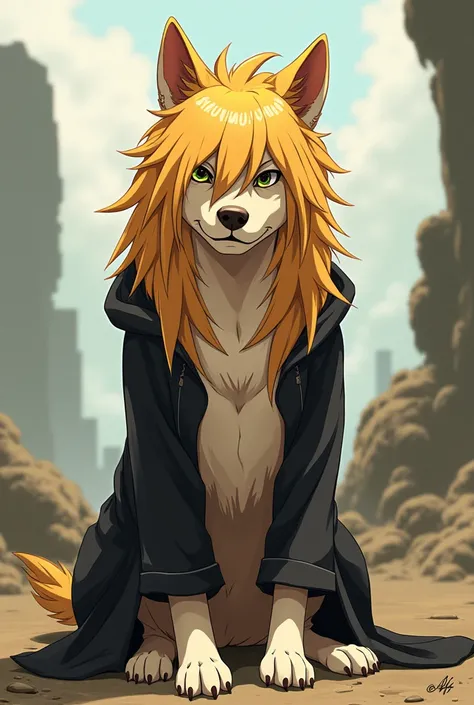 A dog with the appearance of Shinji from Bleach
