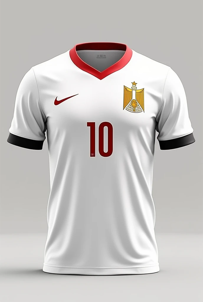 Egypt national team football shirt
 , a few lines , front and back of the shirt
White
Gold
Red

