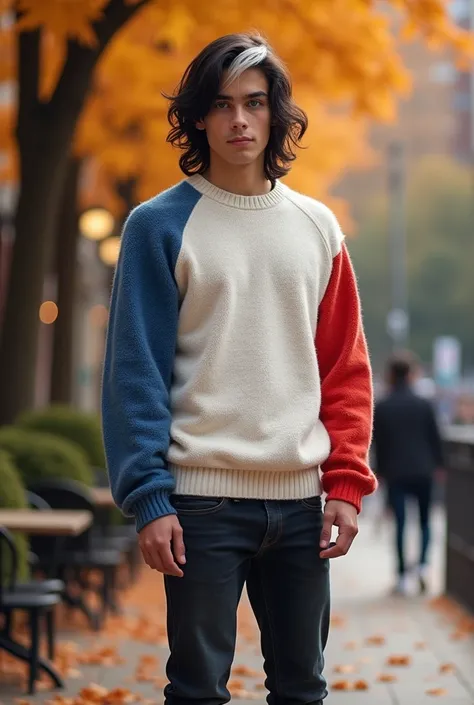 male, cute, medium, black hair with a white streak, white skin, one brown eye and the other green, white sweater with one blue sleeve and the other red, dark jeans and purple shoes.