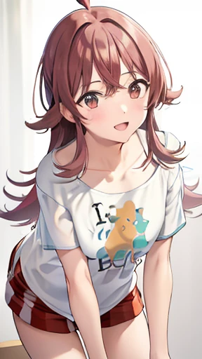 masterpiece,best quality,high resolution,[nsfw],aakaho,long hair, ahoge,collarbone, print shirt,(nipple slip from white t-shirt),((((clothed)))),bare breasts,plaid shorts,((leaning forward all fours))