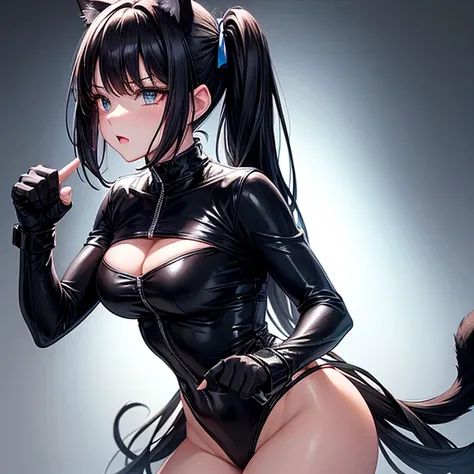 she is wearing black clothes,  High Cut Bodysuit.A woman doing professional wrestling　It has cat ears and a tail...　Twin tails　Open Finger Gloves　Fighting in the ring