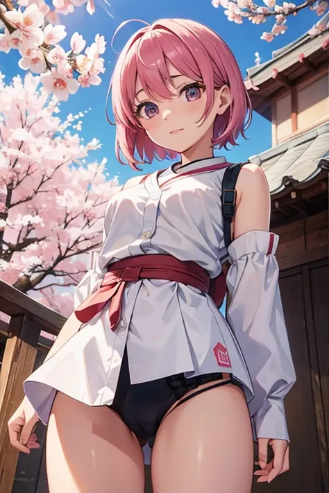 sakura showing her underwear 