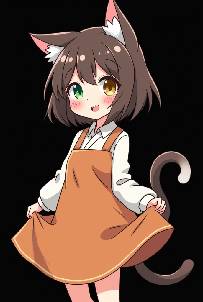 ear blush, by rubio, by the wide, swept bangs, Non-matching pupils, Sanpaku, cat ears, smile, animated style, tachi-e, High Definition, Black background, lifting skirt, Pussy