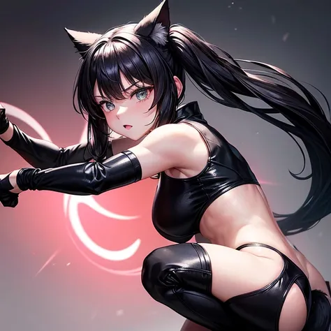 she is wearing black clothes,  High Cut Bodysuit.A woman doing professional wrestling　It has cat ears and a tail...　Twin tails　Open Finger Gloves　Fighting in the ring