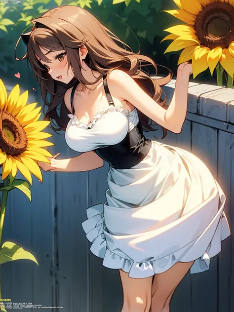 Kōsuke Fujishima style , Anime magazine pinup , clothed erotica , cat woman , wide hip , summer dress , Sunflowers are blooming , heart is beating fast with anticipation , apart melons