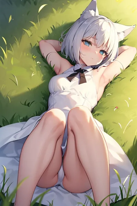 One Girl　cute　Petite　breasts are slightly larger　The legs are very thin　Wolf ears　White shorthair　Data dress　(((The background is inside the grass.)))　Lying on your back　Place your hands behind your head.　Embarrassed face