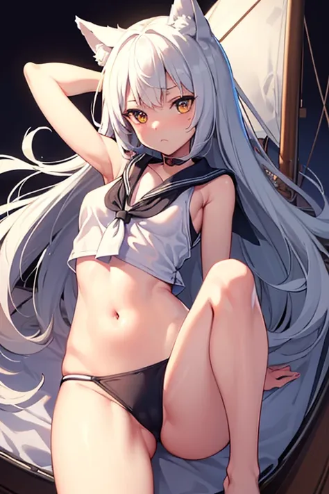 One Girl　cute　Petite　breasts are slightly larger　The legs are very thin　Wolf ears　White shorthair　Pirate costumes　(((The background is inside.　on a sailboat)))　Lying on your back　Place your hands behind your head.　Embarrassed face