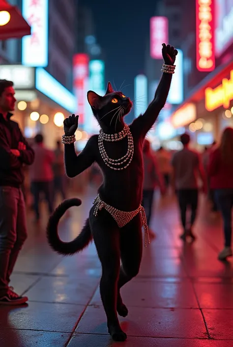 dancing cat in the night city street similar to jennifer lopez