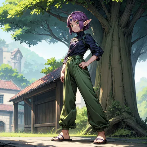 Solo character, full body version, kid girl, (elf), green eyes, purple color hair, Curly haircut, bob hair black shirt, long pants, sandals, outdoor, village, detailed background, detailed clothing, detailed hair, muscle, standing gesture, (one piece style...