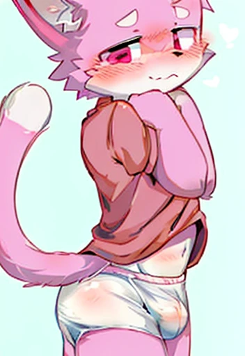 Pink fur，White fur，Big furry tail，cute，Q version，Male cat，White diapers，Pink Eyes，shy ，blush，