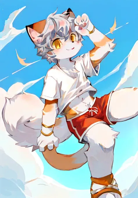 Silver Hair，Golden Eyes，White male cat，Orange fur，White fur，White top，Red shorts，cute，Q version，Handsome，Cast golden magic，Above the clouds