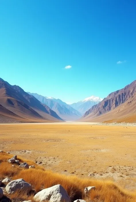 Bhutanese dry feild