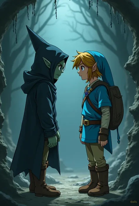 Link wearing a hood long blue shirt and normal trousers and gloom wich is a version of link made gloom is also in the picture Gloom link is wearing the same clothes as link and he is also making fun of link anime Style 
