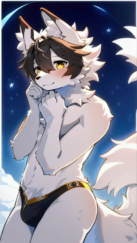 (top quality, best quality, High-quality illustrations, masterpiece, 16k, 1080p, uploaded on e621)(kemono, furry, anthro, alone), round, 1 male, hot father figure, slim body, very detailed body face and eyes, white fox, Tiare, (Alchemy Stars), white fur, f...