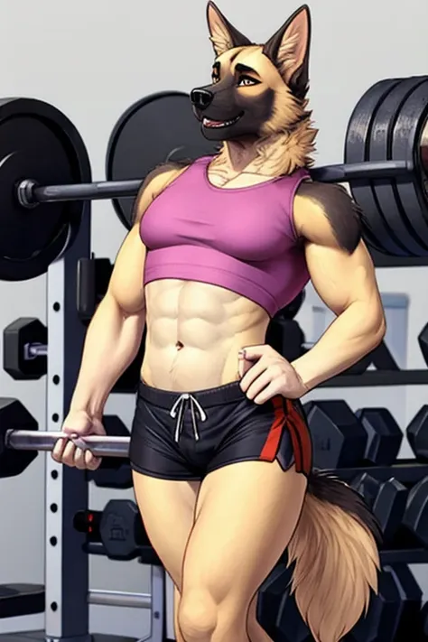 German Shepherd short shorts gym 