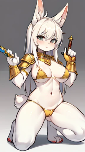 Busty female bunny，Fluffy white hair. Wearing simple and stylish golden bikini armor. . Holding a dagger，Kneeling and squatting，Full body portrait，The ears should be shown complete