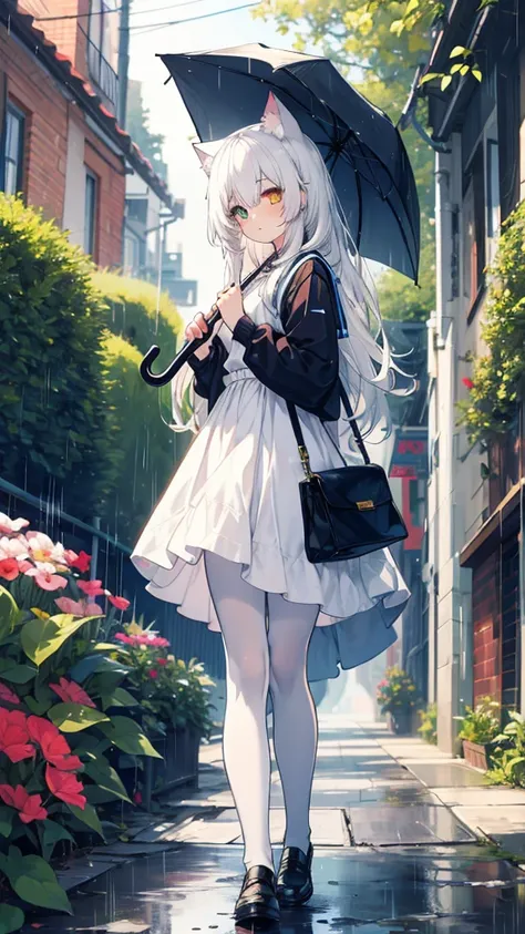 white hair，long hair，cat ear，heterochromia（left blue and yellow），campus clothing，white pantyhose，holding an umbrella，rain，street...