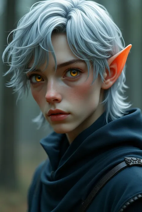 species: male elf, Apparent age: young adult, but with features that suggest longevity, Height: average, cerca de 1,75m, with a slim and slightly defined physique, muka: Large, expressive golden eyes, transmitting wisdom and melancholy. Generally neutral o...