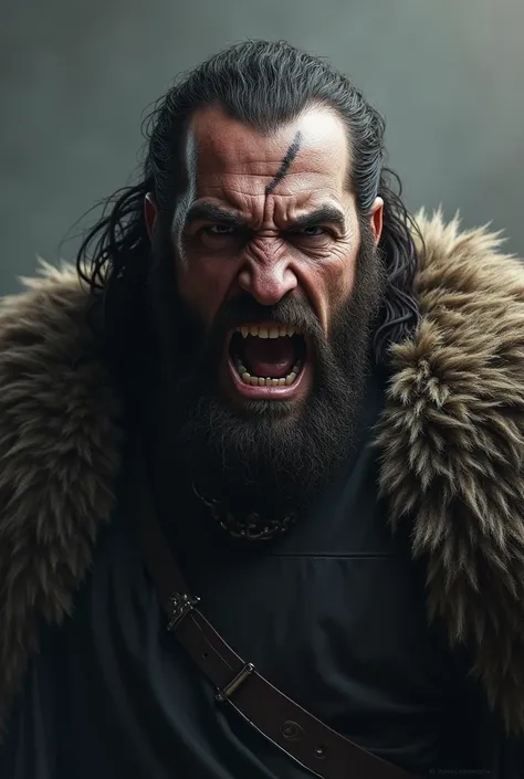 (photorealism:1.2), actor Rory McCann as Sandor clegane angry