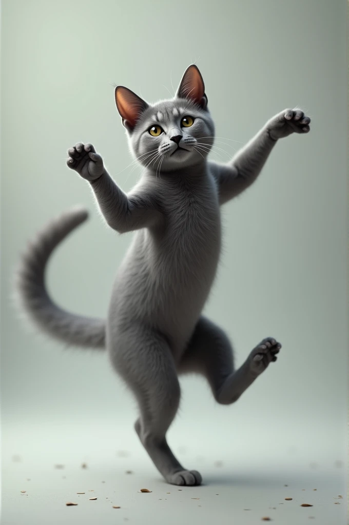 gray cat dancing