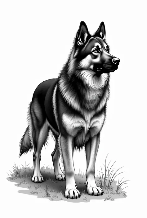 Central Asian Shepherd dog but in FPE style (black and white drawing)