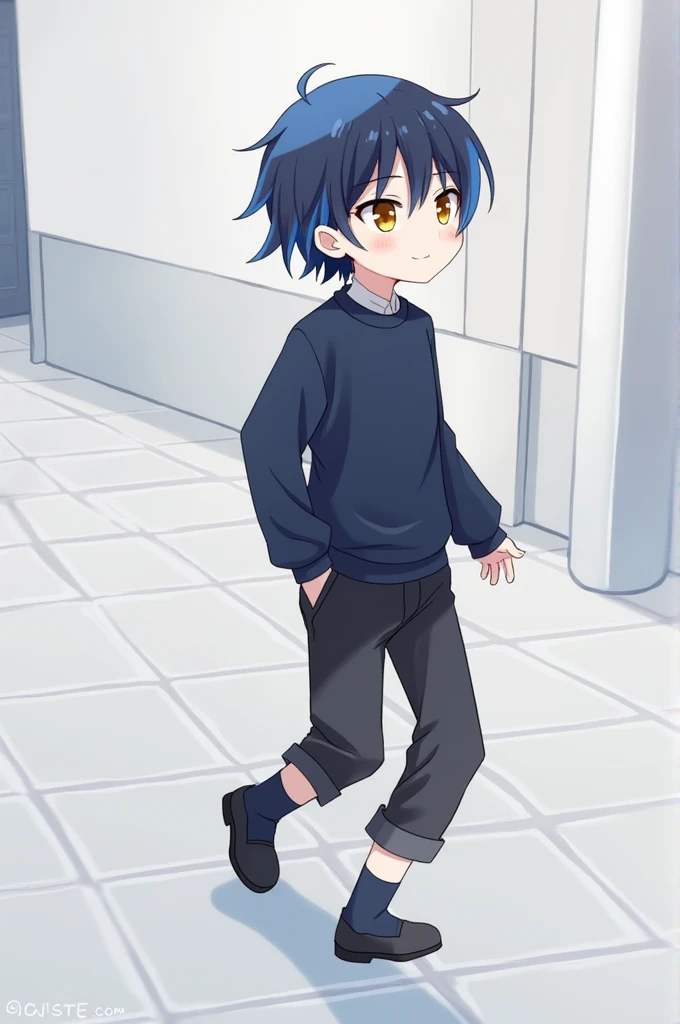 A boy with blue and black hair mixed with yellow eyes, a dark blue sweater, black pants and socks in a cute anime style passes by.