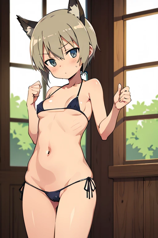 Strike Witches,Micro Bikini,shift bikini,NSFW