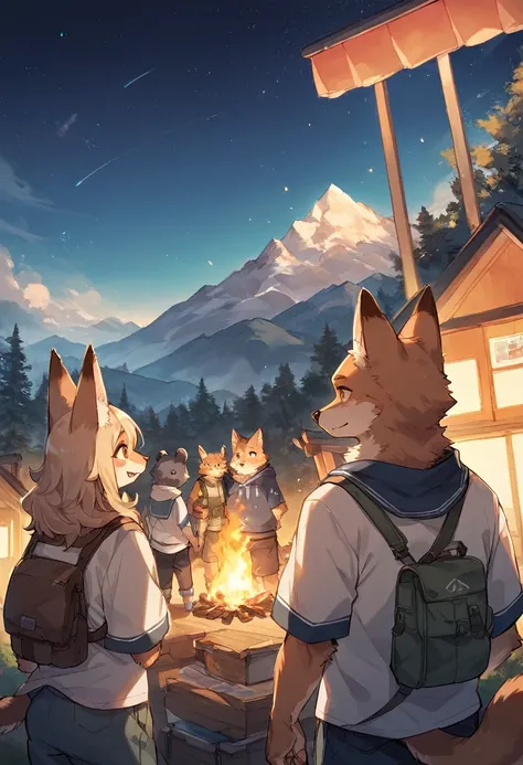 rating_safe, score_9, score_8_up, score_7_up, score_6_up, score_5_up, score_4_up, hires, source_furry(kemono, furry anthro, group shot, 1boy, 1girl)Campsite in the mountains, camp-fire, night sky(Photo of family trip),