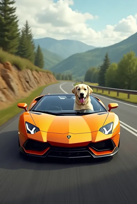 A lamborghini with the labourdor dog In side
