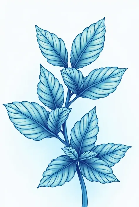 creates the image of mints in fine-line style in blue