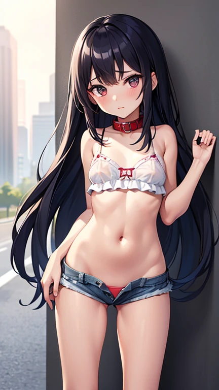 (masterpiece), Highest quality, One Girl,  girl, The body shape is a child-like four-part figure., pretty girl, Flat Chest, Black Hair, Very long hair, She is looking towards the viewer, She is wearing a bright red leather collar., Reins extend from the co...