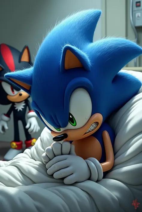 Image of Sonic in labor and Shadow leaving