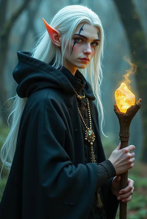 Elf-man 30 years with white long hair. On the front side his hair we see little black streak. One of his eye was blue, second was yellow. He wear black coat with hood. He have wooden staff with magic rock.