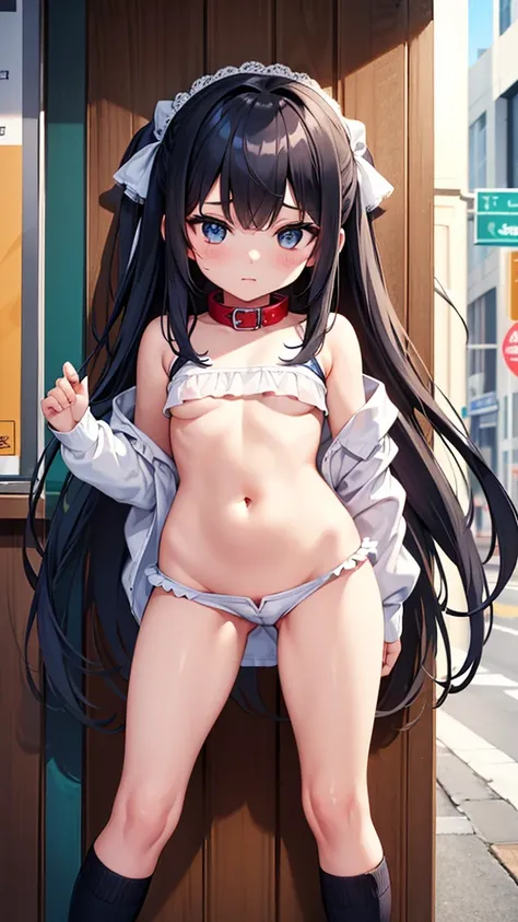 (masterpiece), Highest quality, One Girl,  girl, The body shape is a child-like four-part figure., pretty girl, Flat Chest, Black Hair, Very long hair, She is looking towards the viewer, She is wearing a bright red leather collar., Reins extend from the co...