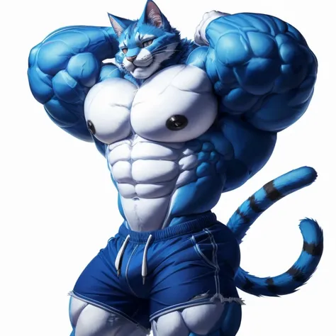 furry growth, hyper growth, hyper muscles, A Cat, very cute cat, blue cat, muscular, blue shorts, on a white background