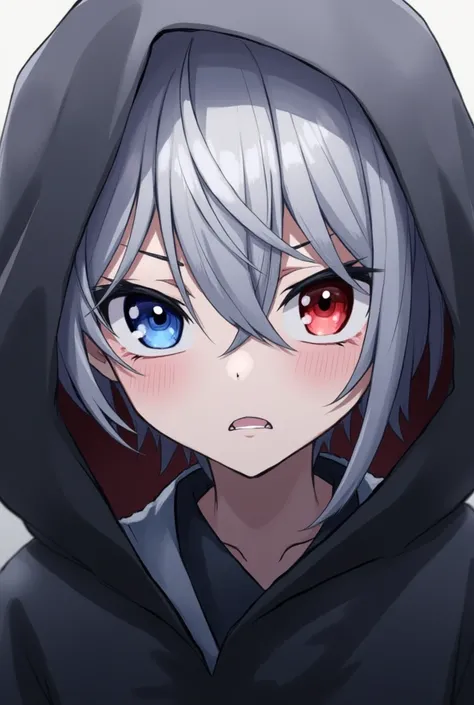 High resolution, Shortcuts, Gray Hair, blue eyes, Red eyes, Hood worn, Odd Eye, Crazy Eyes, Anime Style, 