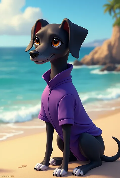 cachorro vira lata, female, all black with white paws, medium size, adult, very thin, ears down, Wearing a purple outfit with a view of the beach, eyes browns, long snout