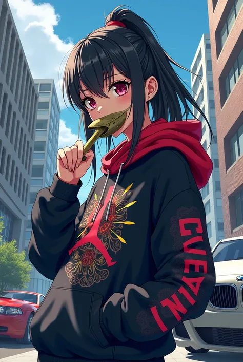 Nezuko komado with bamboo and jordan shoe and bmw hoodie,manga anime