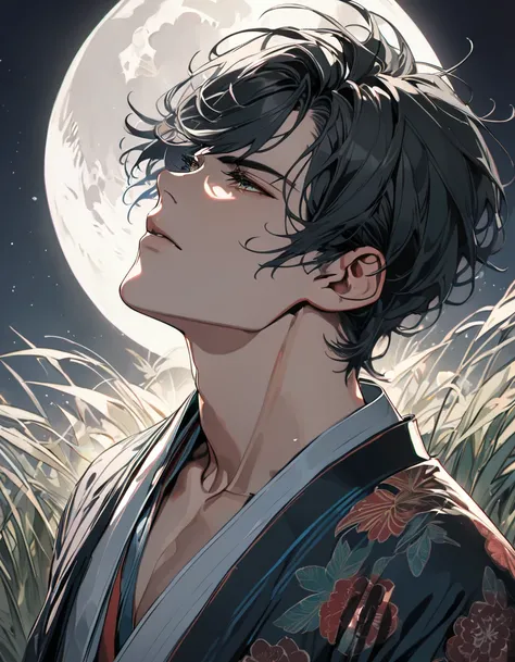 (masterpiece)、(absurdres)、(ultra detailed)、(8k),Anatomically correct,Fantastic illustrations,Glittering Full Moon:1.3,(solo beautiful man),kimono,upperbody shot,half-closed eyes,Serious,Japanese silver grass:1.3,looking up:1.2,looking away,