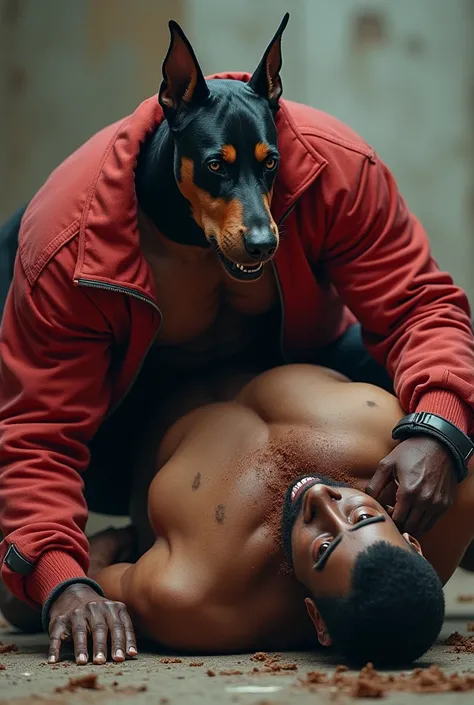 A shirtless muscular doberman beastmen wearing red tracksuit jacket but wide open. A doberman beastmen is lying down a ground, getting gut punched by  a human.