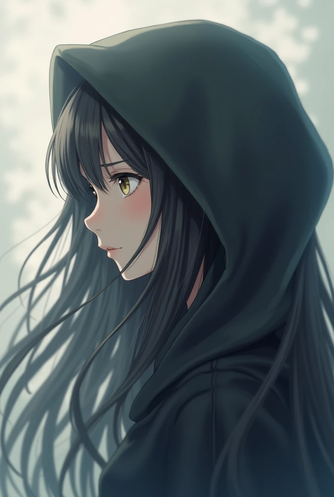 long hair, 1 girl, Hood, To profile, closed mouth, Blurred, anime, 