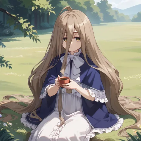 masterpiece,best quality,sitting down on the field,cowboy shot,front shot,solo,1girl,youg child,holding tea cup,sense \(sousou n...