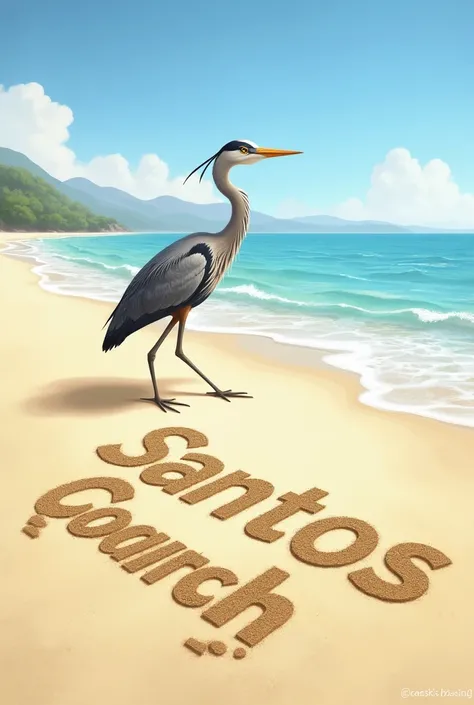 Create an image of a heron on Santos beach without mountains in the background and write Santos in the sand and below Gaeski&#39;s Housing