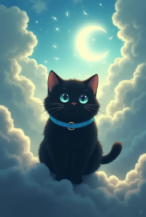 A little chubby Black cat with blue collar going to heaven