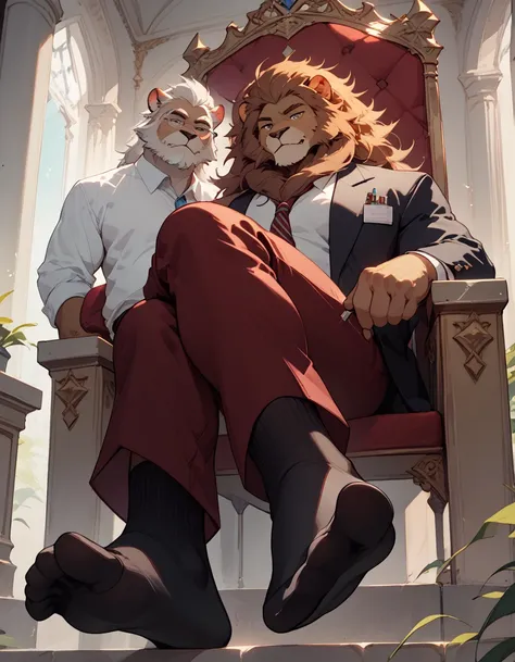 big, furry, muscular male, lion, mane hair, old man, sitting on throne, office socks, burgundy pants, crossed legs, black socks, sole visible, foot focus, low angle view