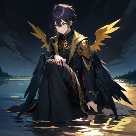 A male with black hair, have a black wings, gold eye Solo, High Resolution, Looking at viewer, HD, sitting on river